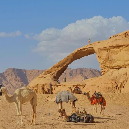 Wadi Rum Desert Camp Exterior foto