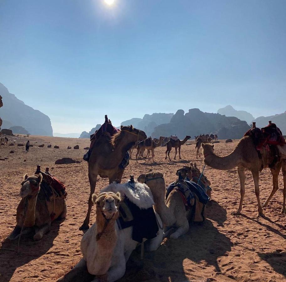 Wadi Rum Desert Camp Exterior foto